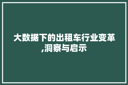 大数据下的出租车行业变革,洞察与启示