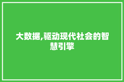 大数据,驱动现代社会的智慧引擎