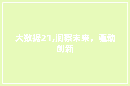 大数据21,洞察未来，驱动创新