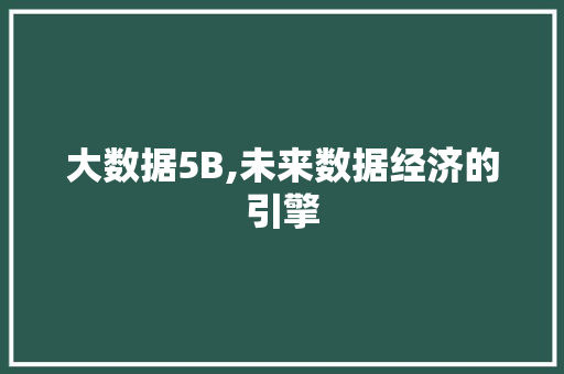 大数据5B,未来数据经济的引擎