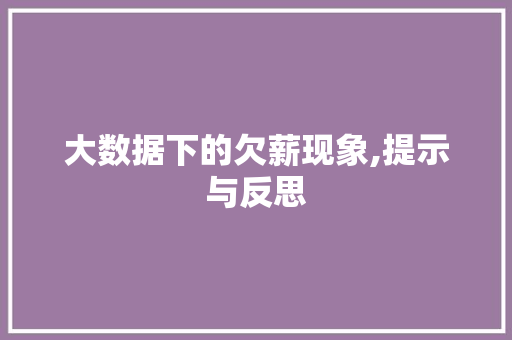 大数据下的欠薪现象,提示与反思