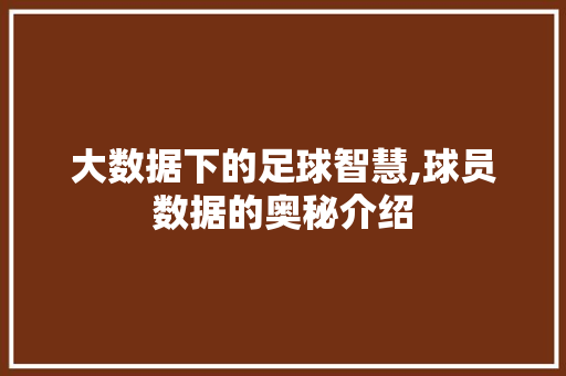 大数据下的足球智慧,球员数据的奥秘介绍