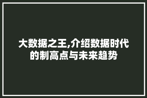 大数据之王,介绍数据时代的制高点与未来趋势