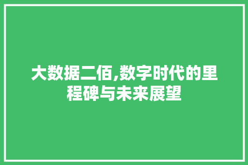 大数据二佰,数字时代的里程碑与未来展望