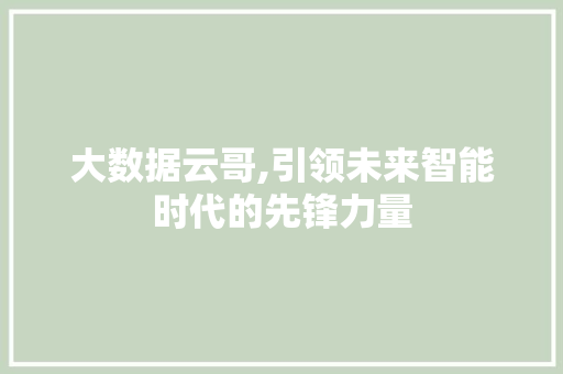 大数据云哥,引领未来智能时代的先锋力量