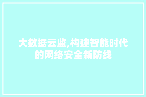 大数据云监,构建智能时代的网络安全新防线