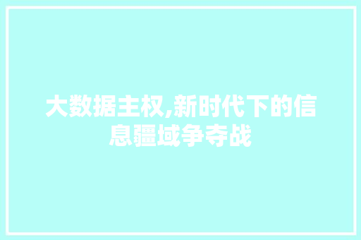 大数据主权,新时代下的信息疆域争夺战
