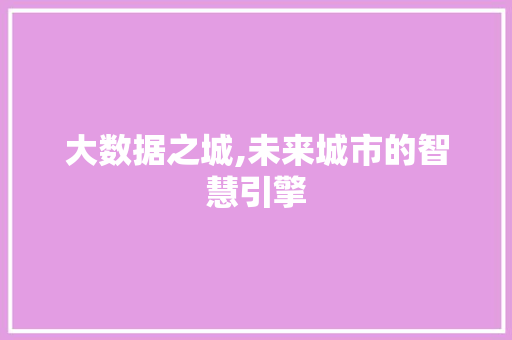 大数据之城,未来城市的智慧引擎