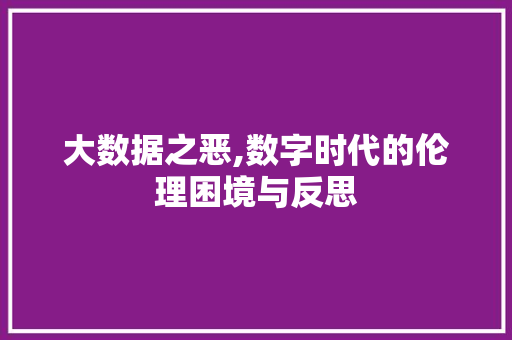 大数据之恶,数字时代的伦理困境与反思