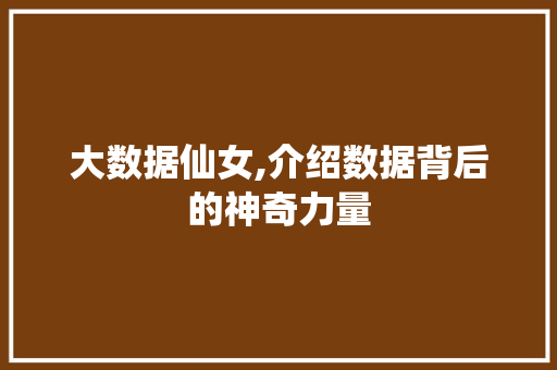 大数据仙女,介绍数据背后的神奇力量