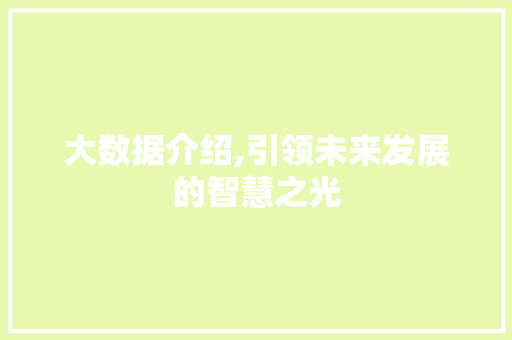 大数据介绍,引领未来发展的智慧之光