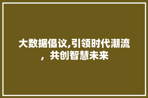 大数据倡议,引领时代潮流，共创智慧未来