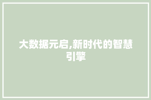 大数据元启,新时代的智慧引擎