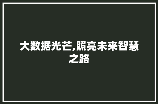 大数据光芒,照亮未来智慧之路