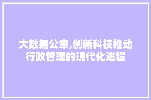 大数据公章,创新科技推动行政管理的现代化进程