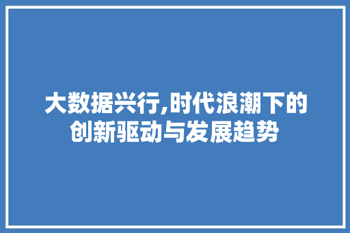 大数据兴行,时代浪潮下的创新驱动与发展趋势