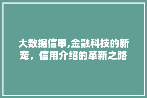 大数据信审,金融科技的新宠，信用介绍的革新之路