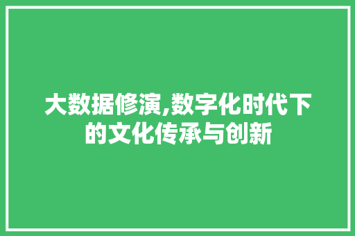大数据修演,数字化时代下的文化传承与创新