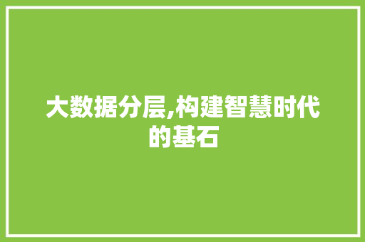 大数据分层,构建智慧时代的基石