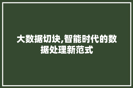 大数据切块,智能时代的数据处理新范式