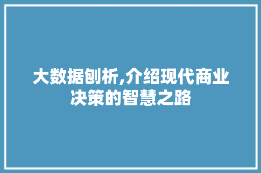 大数据刨析,介绍现代商业决策的智慧之路 百度SEO