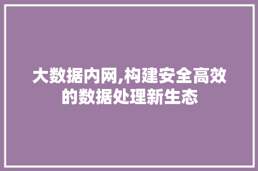 大数据内网,构建安全高效的数据处理新生态