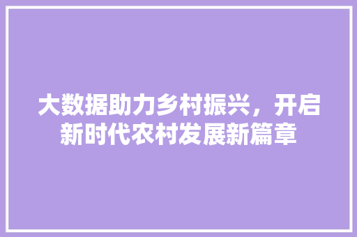 大数据助力乡村振兴，开启新时代农村发展新篇章