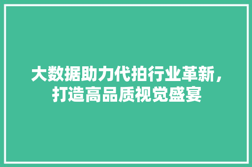 大数据助力代拍行业革新，打造高品质视觉盛宴