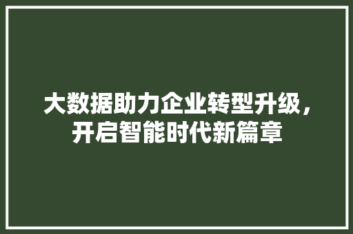 大数据助力企业转型升级，开启智能时代新篇章 必应SEO