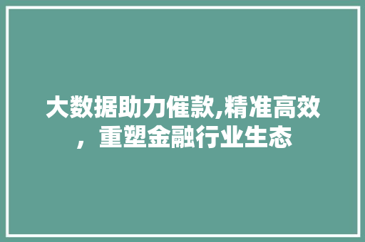 大数据助力催款,精准高效，重塑金融行业生态