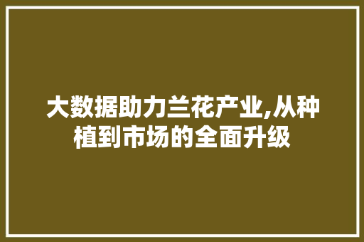 大数据助力兰花产业,从种植到市场的全面升级 百度SEO