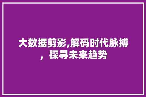 大数据剪影,解码时代脉搏，探寻未来趋势 必应SEO