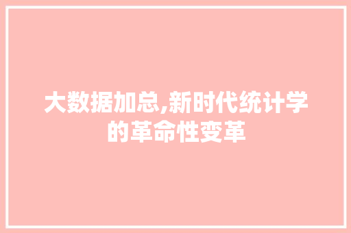 大数据加总,新时代统计学的革命性变革