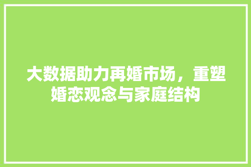 大数据助力再婚市场，重塑婚恋观念与家庭结构
