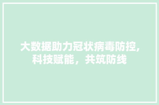 大数据助力冠状病毒防控,科技赋能，共筑防线 网站建设公司