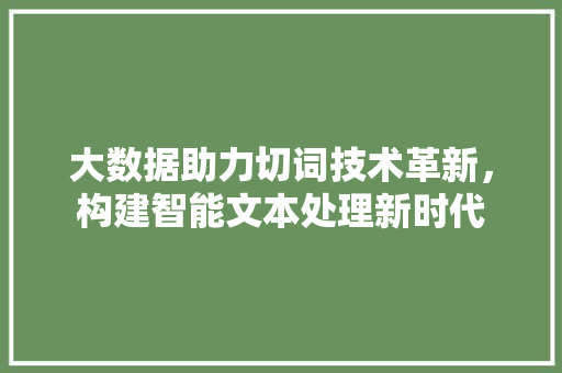 大数据助力切词技术革新，构建智能文本处理新时代 SEO关键词