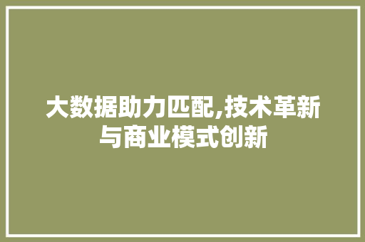 大数据助力匹配,技术革新与商业模式创新 必应SEO