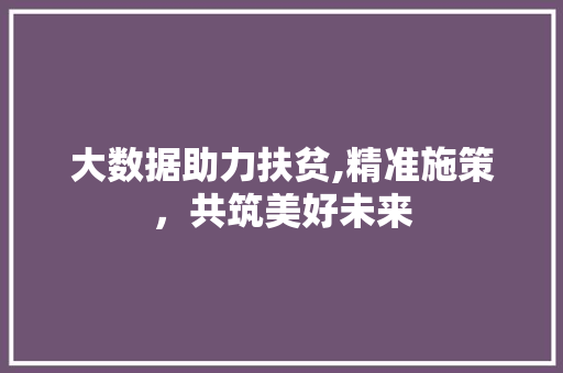 大数据助力扶贫,精准施策，共筑美好未来