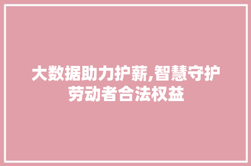 大数据助力护薪,智慧守护劳动者合法权益 网站建设公司