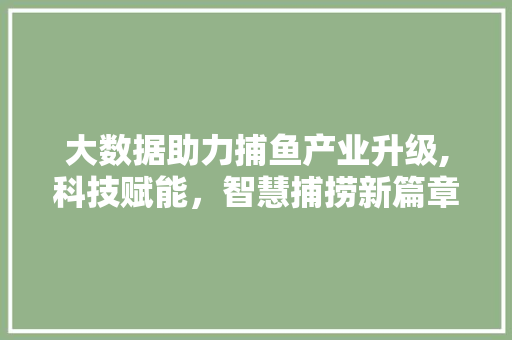大数据助力捕鱼产业升级,科技赋能，智慧捕捞新篇章