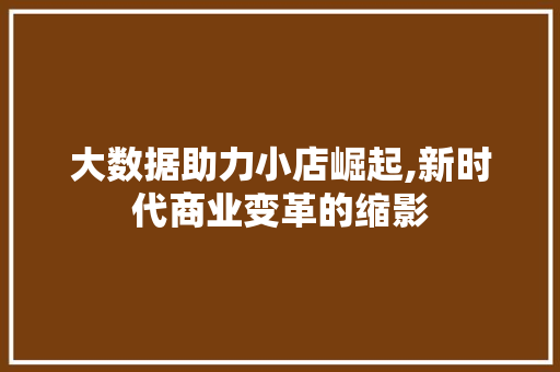 大数据助力小店崛起,新时代商业变革的缩影 SEO关键词