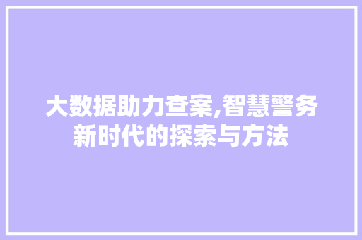 大数据助力查案,智慧警务新时代的探索与方法 SEO关键词