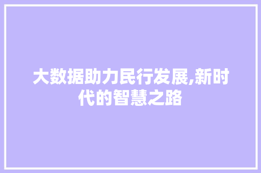 大数据助力民行发展,新时代的智慧之路