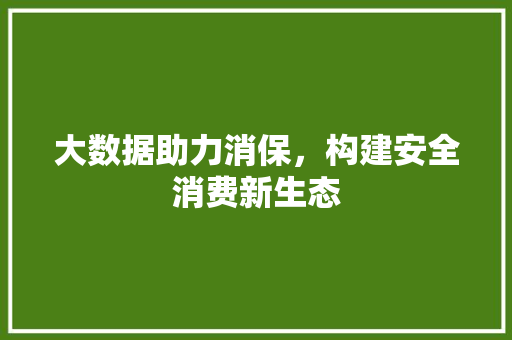 大数据助力消保，构建安全消费新生态
