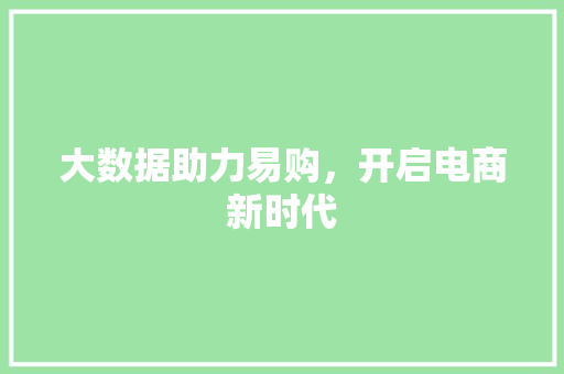 大数据助力易购，开启电商新时代