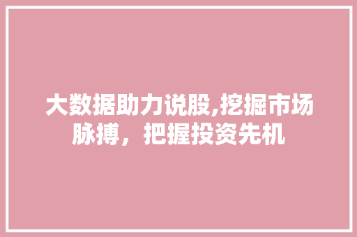 大数据助力说股,挖掘市场脉搏，把握投资先机