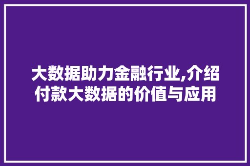 大数据助力金融行业,介绍付款大数据的价值与应用 必应SEO