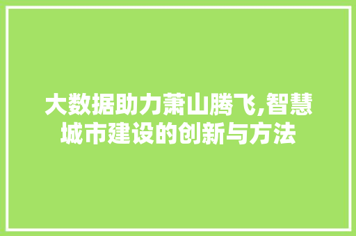 大数据助力萧山腾飞,智慧城市建设的创新与方法 必应SEO