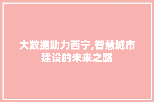 大数据助力西宁,智慧城市建设的未来之路 SEO关键词