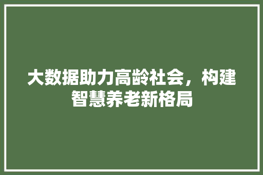 大数据助力高龄社会，构建智慧养老新格局 神马SEO